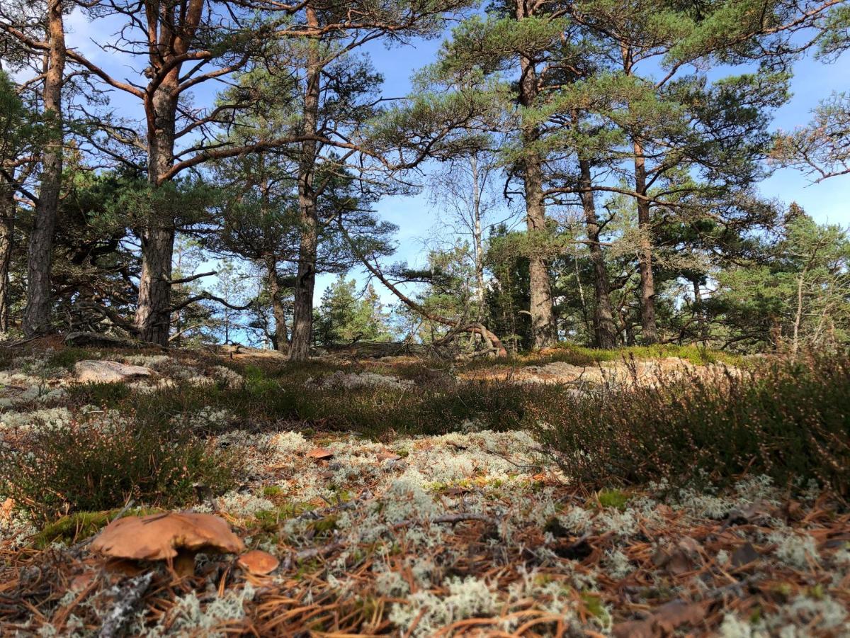 Mysig Och Modern Stuga Pa Snoegard, Naera Havet Och Naturen Lur  外观 照片