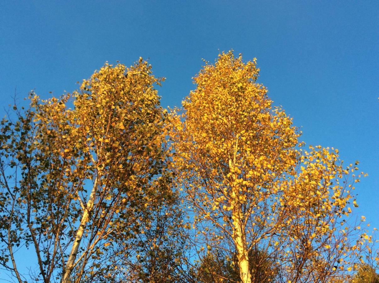 Mysig Och Modern Stuga Pa Snoegard, Naera Havet Och Naturen Lur  外观 照片
