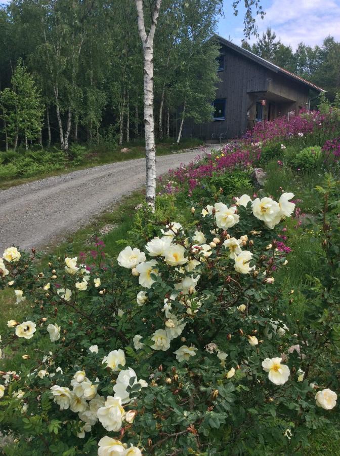 Mysig Och Modern Stuga Pa Snoegard, Naera Havet Och Naturen Lur  外观 照片